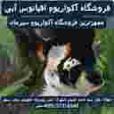 فروشگاه آکواریوم اقیانوس آبی سیرجان در سیرجان
